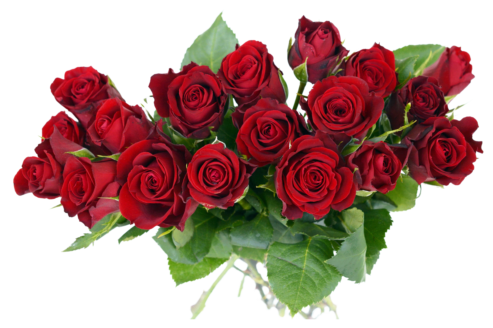 red roses bouquet png image hd download #40638