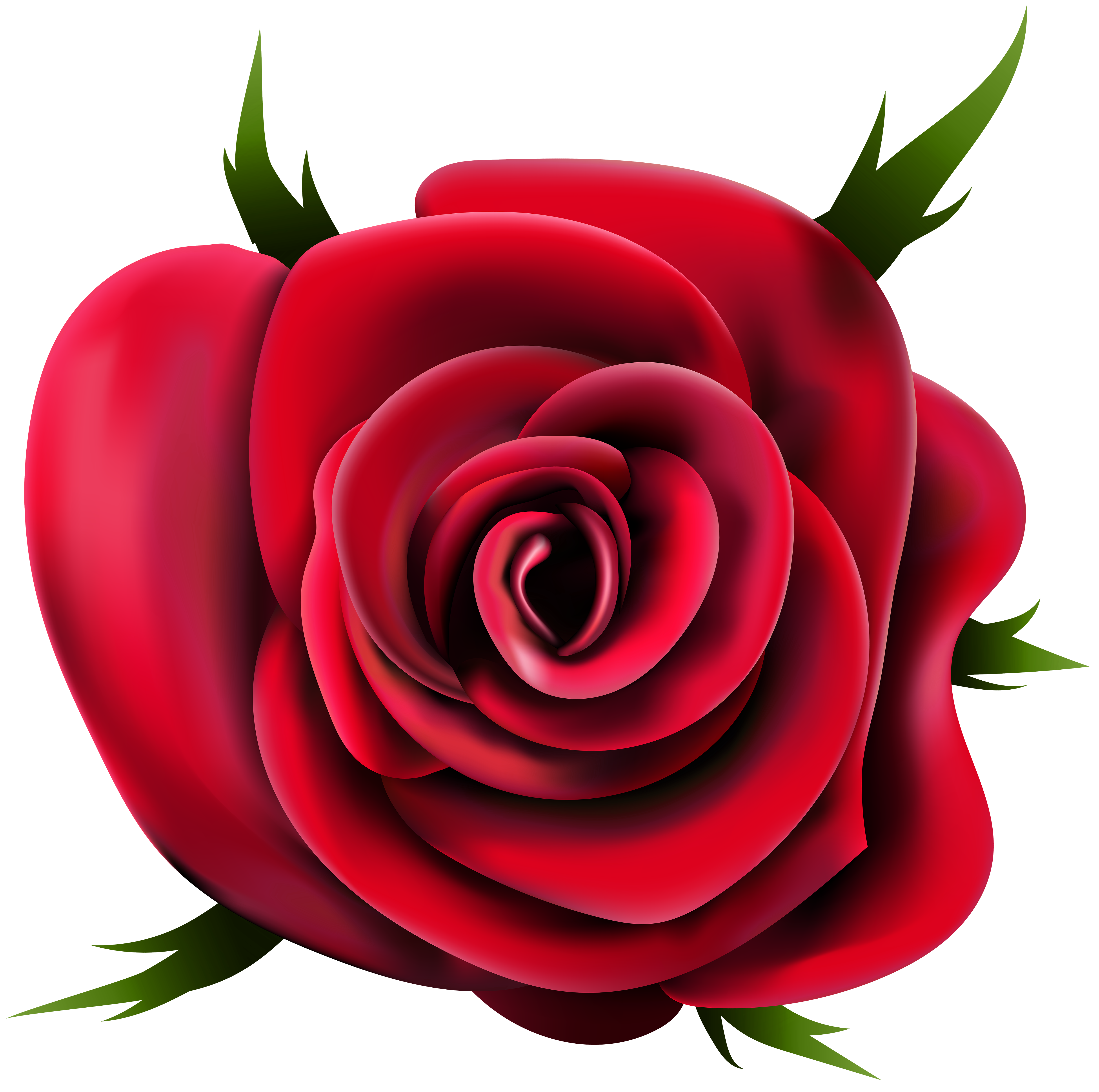 valentine red rose png collection trasnsparent image #40633