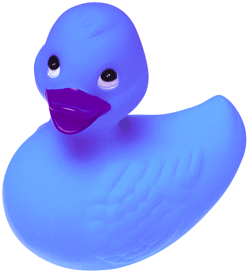 rubber duck blue hq image #39286
