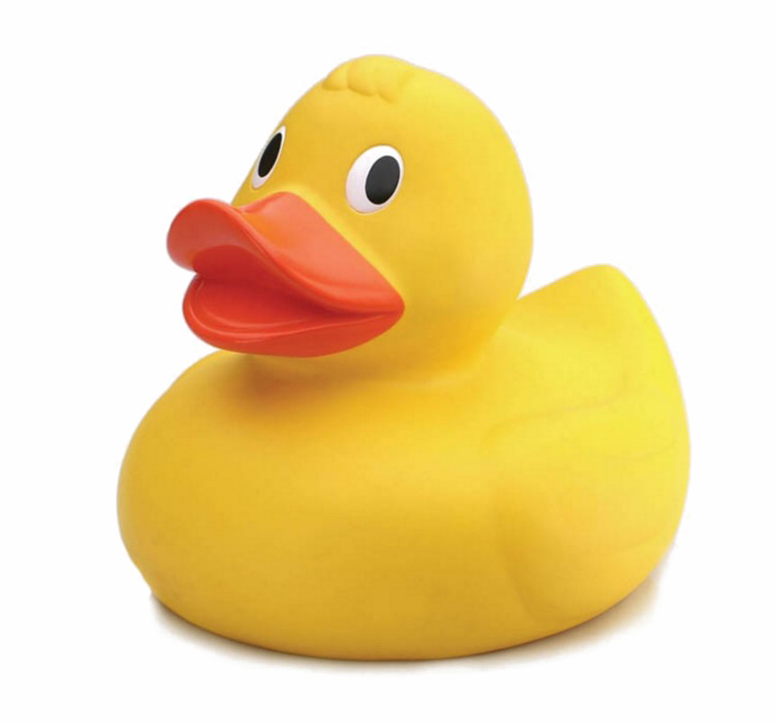 rubber duck png photo #39258