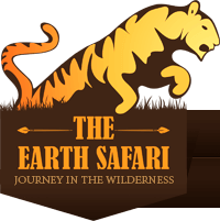 safari forests india logo the earth safari #39684