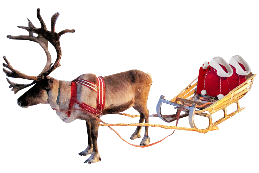 santa sleigh, christmas reindeer and sleigh #30493