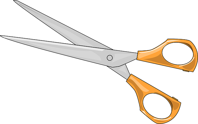 vector graphic scissors sharp tool cutting #23173