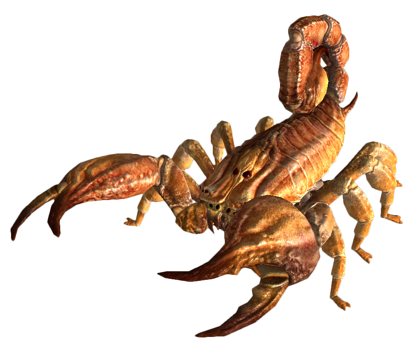 bark scorpion the vault fallout wiki fallout fallout new vegas and more #30415
