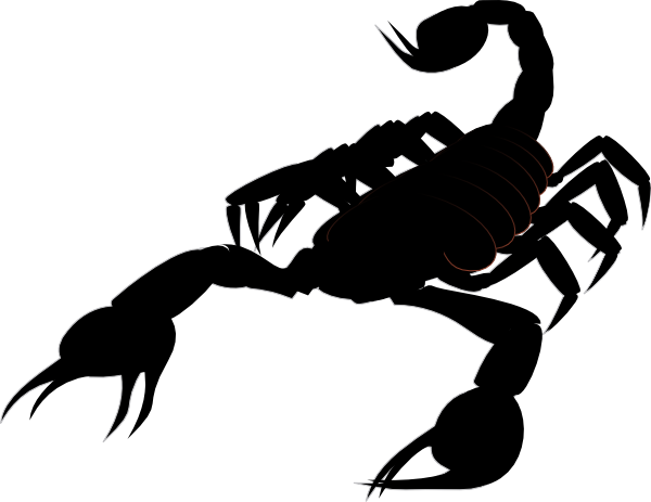 scorpion clip art clkerm vector clip art online royalty domain #30432