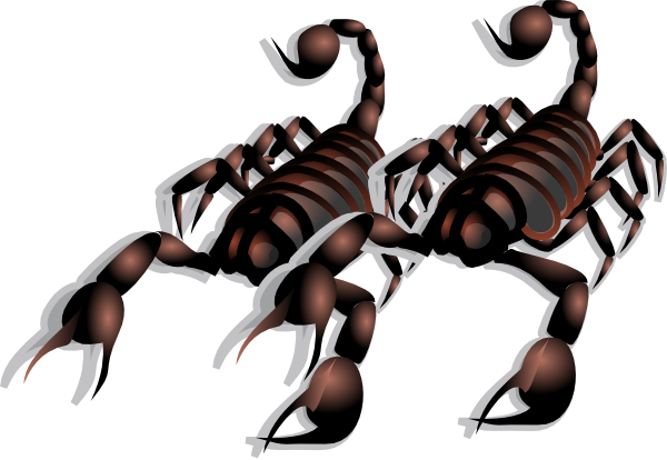 scorpion clip art clkerm vector clip art online royalty domain #30473