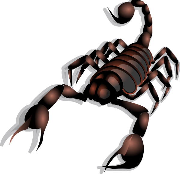 scorpion clip art clkerm vector clip art online royalty domain #30490