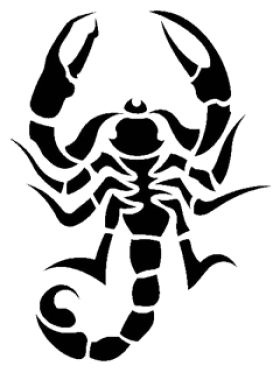 scorpion tattoos png transparent scorpion tattoos #32628