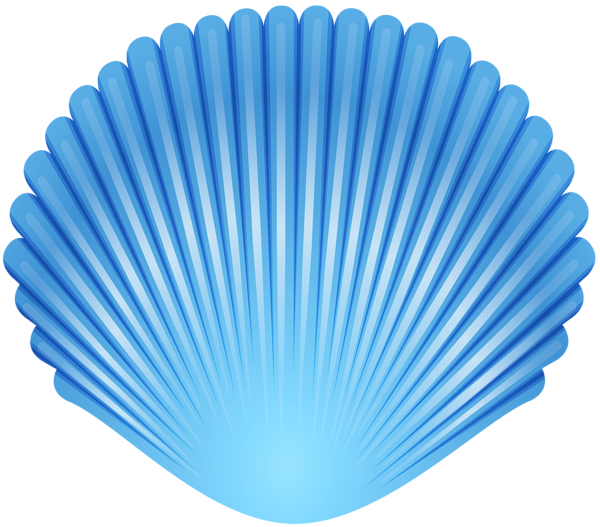 blue seashell transparent png clip art image gallery #26427