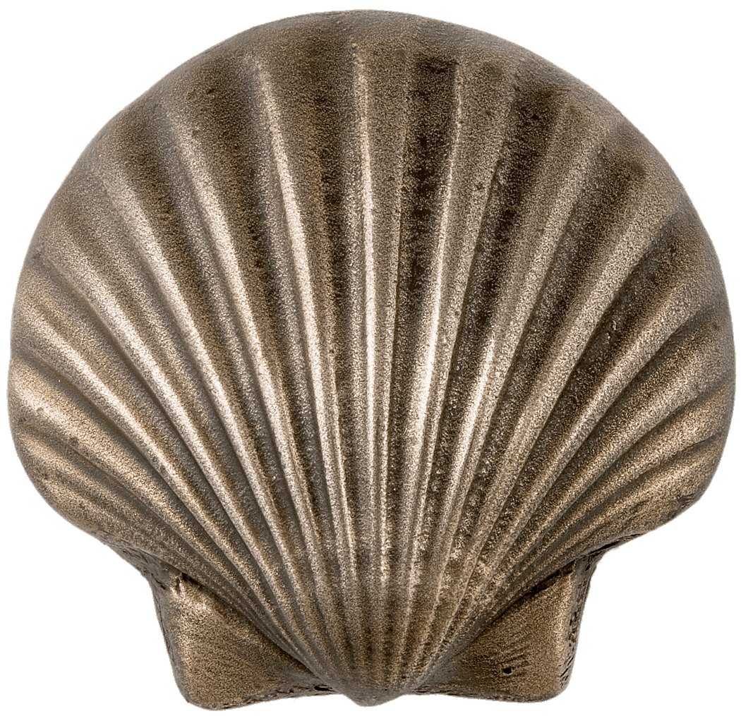 metal scalloped seashell transparent png stickpng #26425