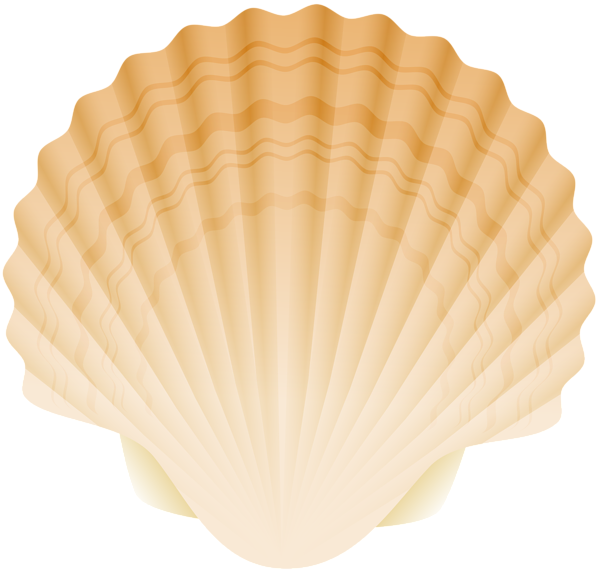 Seashell Clipart, Free Sea Shell PNG Images Download