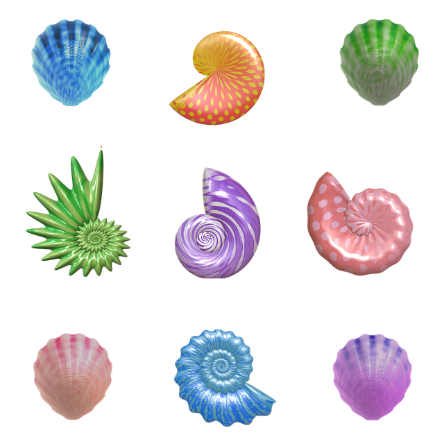 shell seashell nautilus image pixabay #26426
