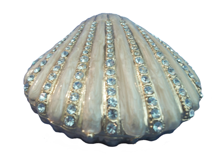 sparkling seashell variety deviantart #26432