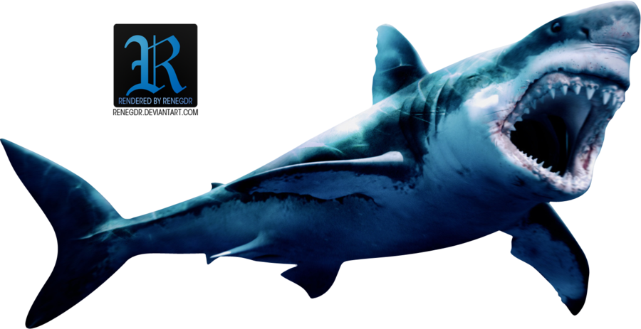 render shark renegdr deviantart #8524