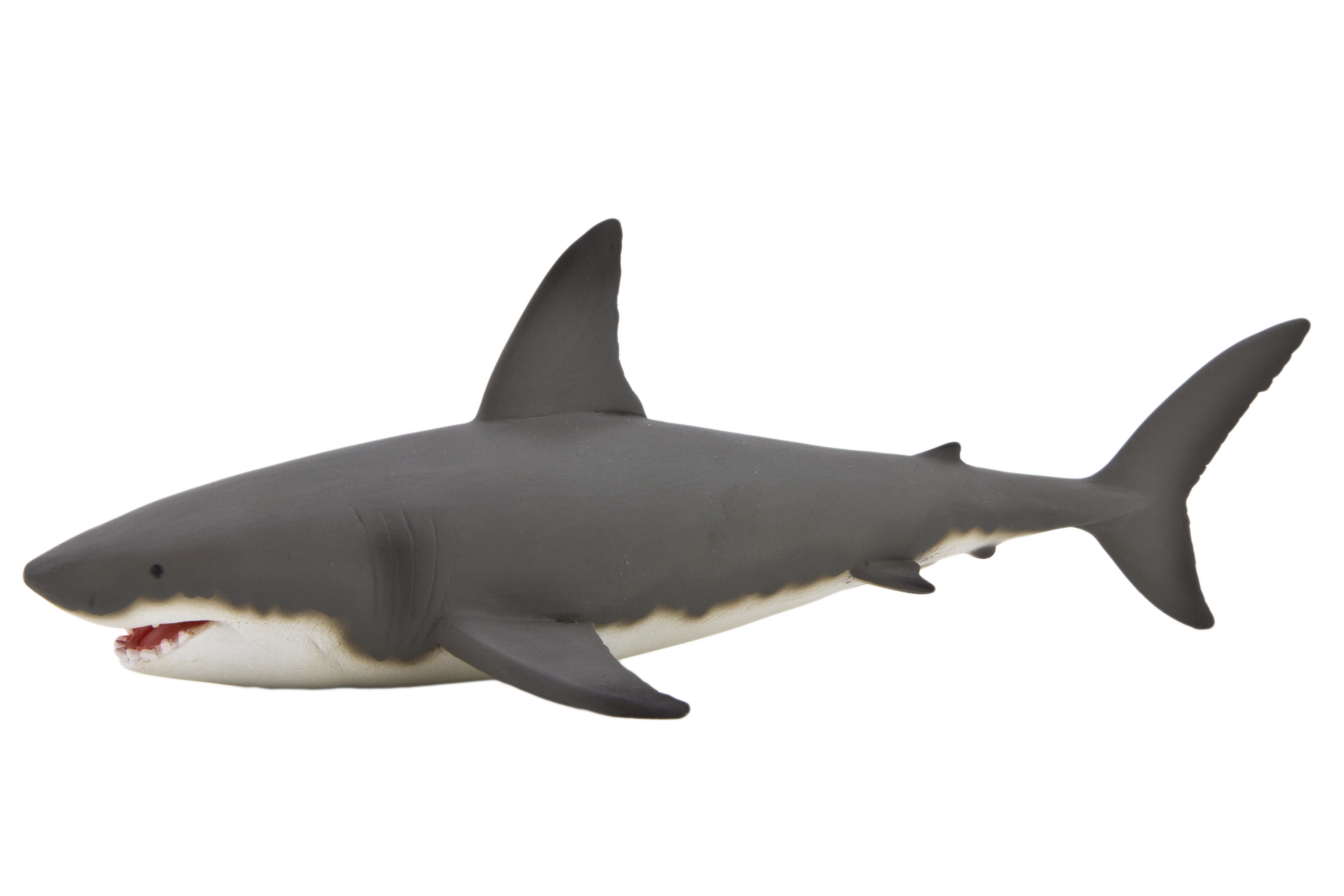 shark animal pinterest shark #8512