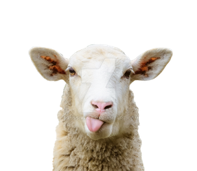 sheep, fauna prussiaart deviantart #20329