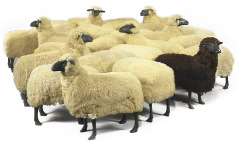 sheep, november fight copyright trolls #20266