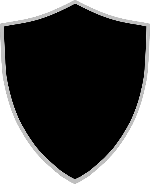 shield sign protection vector graphic pixabay #22839