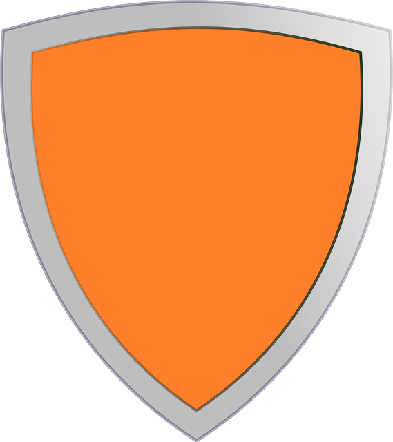 Shield Logo png download - 1080*1080 - Free Transparent Logo png Download.  - CleanPNG / KissPNG