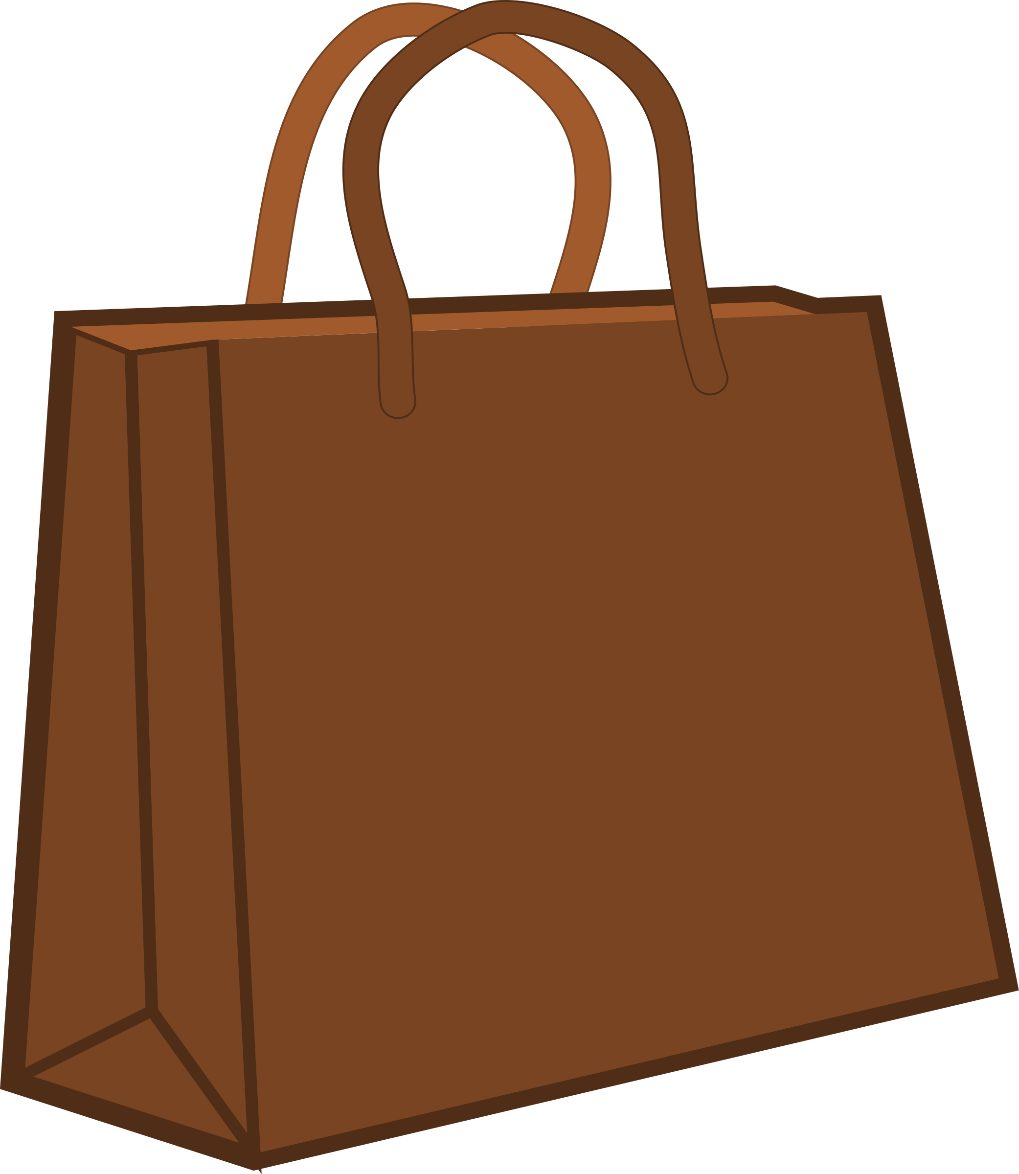 Shopping Bags Icon 19938049 PNG