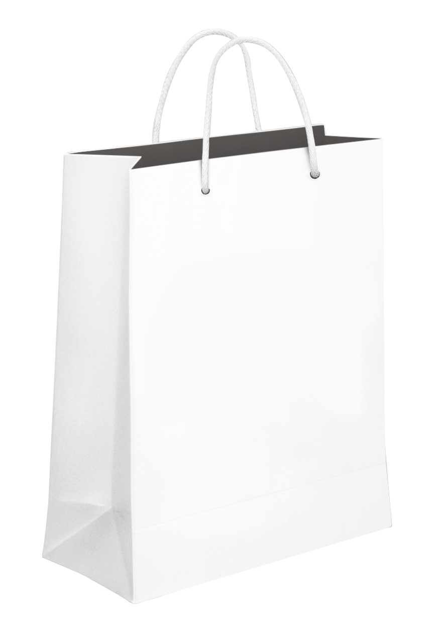 Shopping bag icon. PNG with transparent background. 12494062 PNG