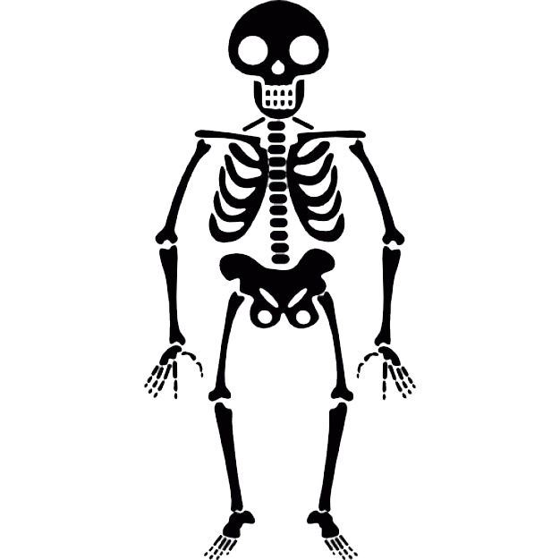 Skeleton PNG - Human Skeleton Transparent