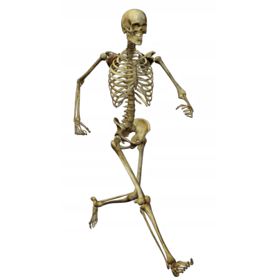 running skeleton png transparent #24764