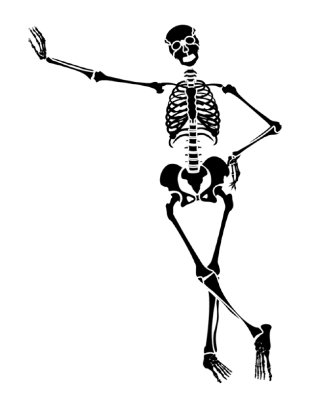 skeleton clipart skeletonclipart skeleton clip art #24721