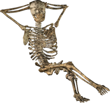 skeleton, halloween graphics #24757