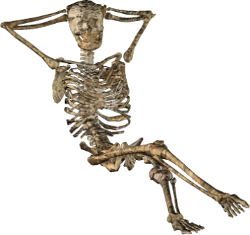 sitting skeleton transparent background #24757