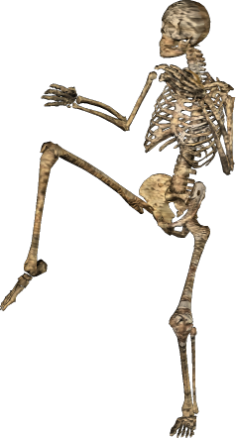 skeleton, halloween graphics #24760