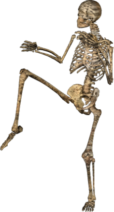 skeleton doing karate, comic character png #24760