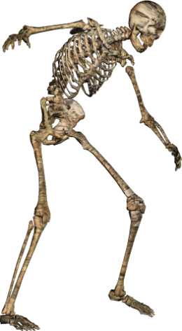 skeleton, halloween graphics #24744