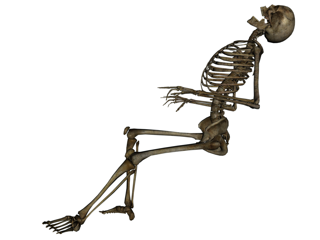 skeleton png transparent clipart #24799