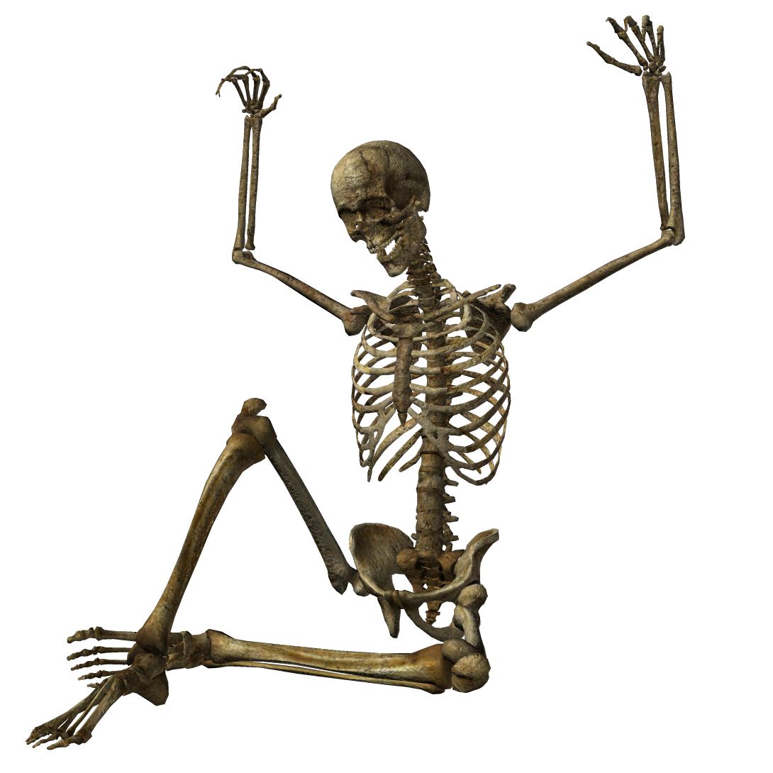 skeleton png transparent skeleton images pluspng #24770