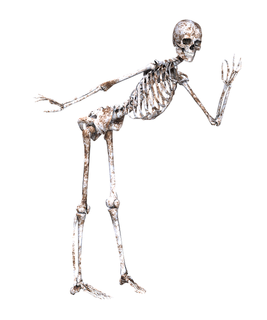 skeleton pose skull image pixabay #24732