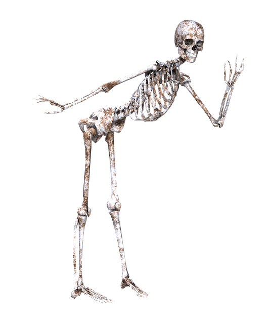 skeleton pose skull image #24732