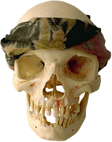 skull, halloween graphics #13744