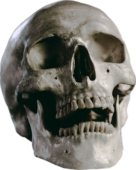 Hd Skull