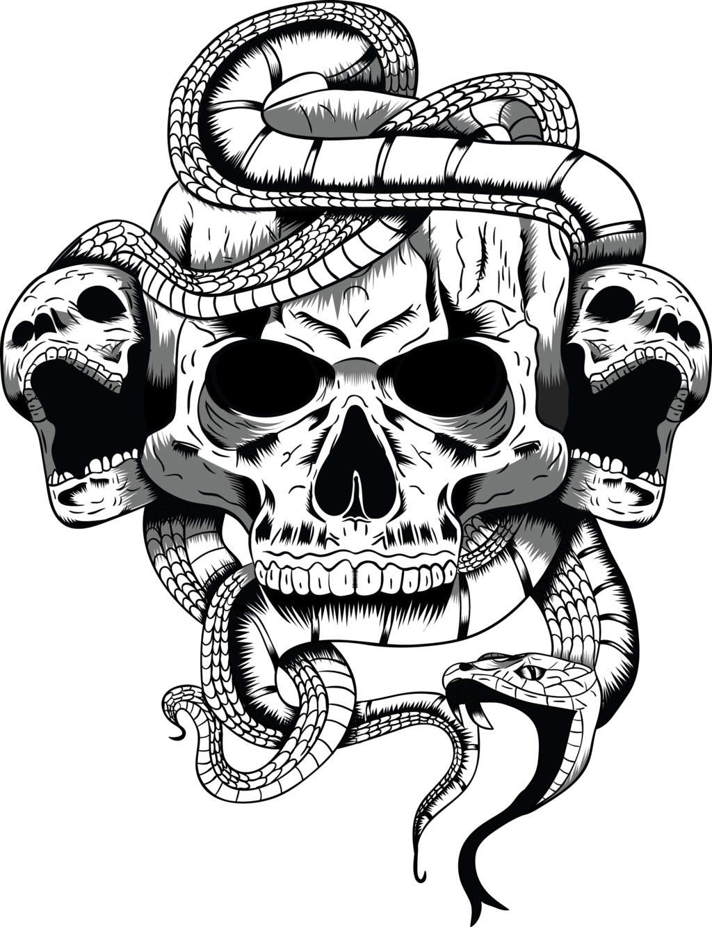 Skull PNG, White And Black Skull Clipart Free Download