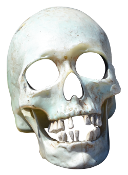 skull png images pngpix #13806