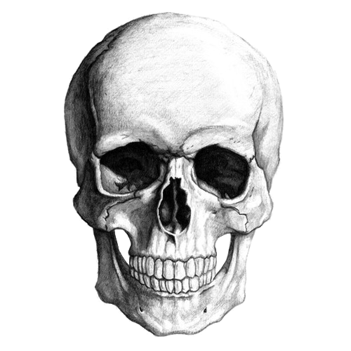 skull png images the symbol death png only #13741