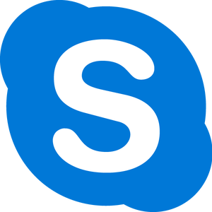 skype logo, ria klerk procurement professional #19934