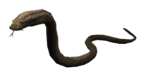 image swamp snake the runescape wiki #16414