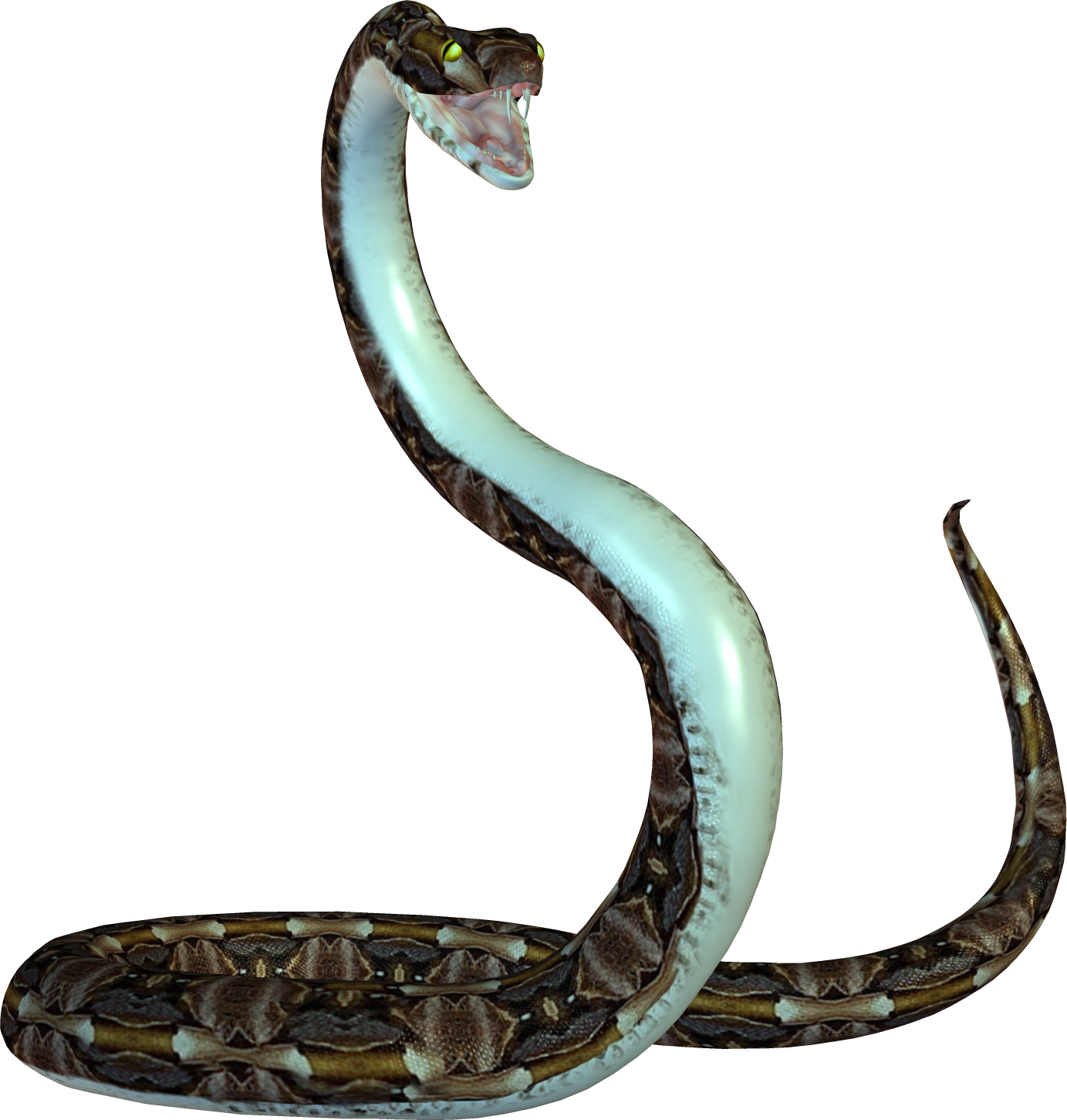 snake png animal png pinterest animal #16424