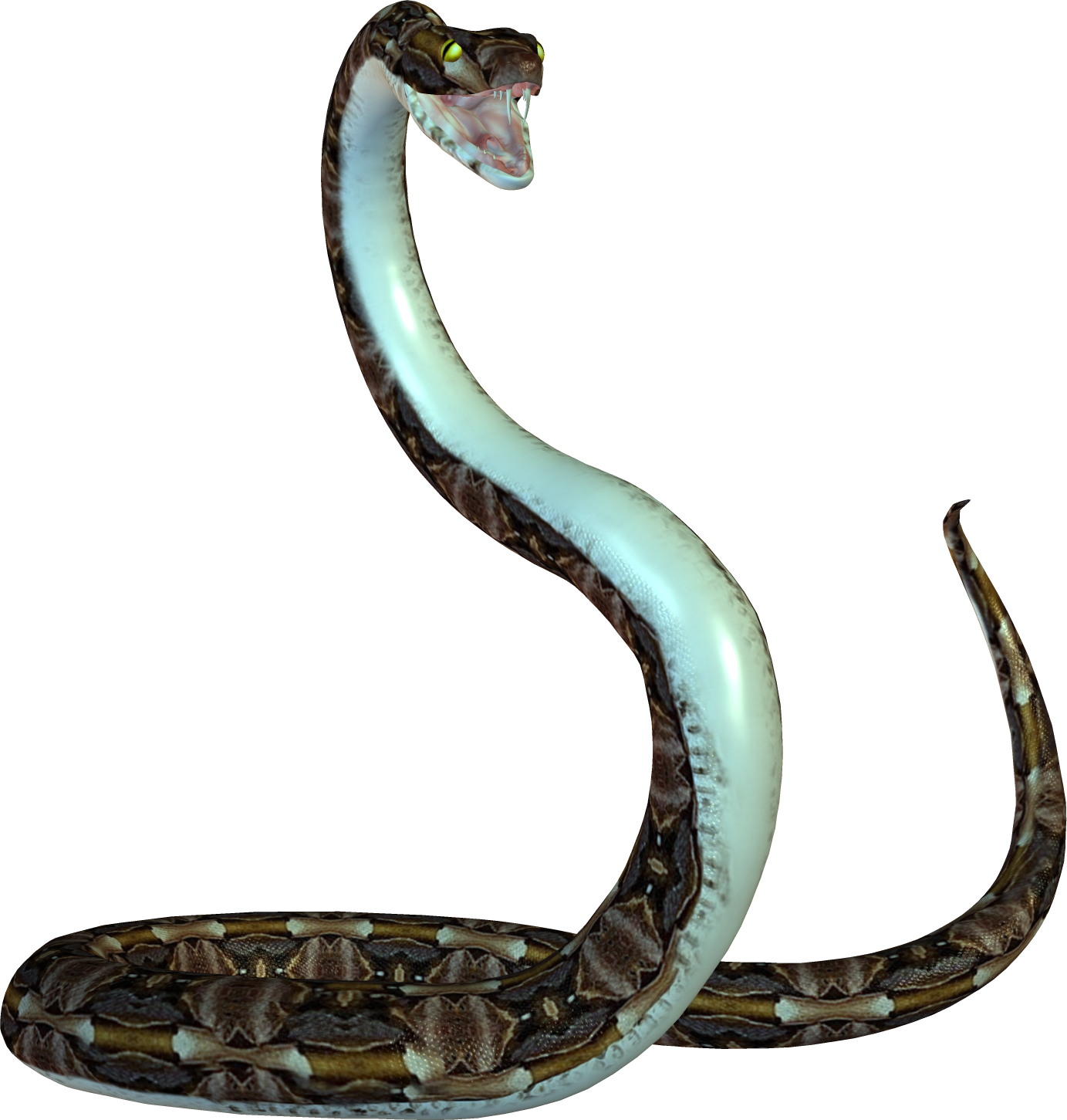 snake python isolated 3d 24486015 PNG