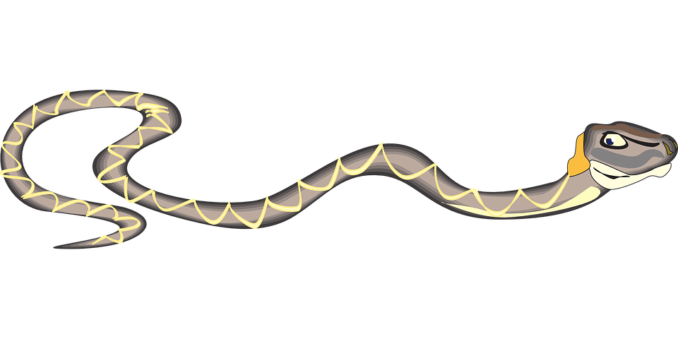 snake python isolated 3d 24485905 PNG