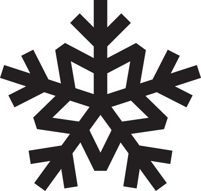 Snowflake