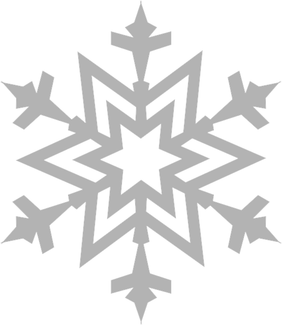 snowflake frost ice vector graphic pixabay #10537