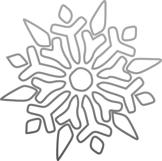 snowflake ice star vector graphic pixabay #10487